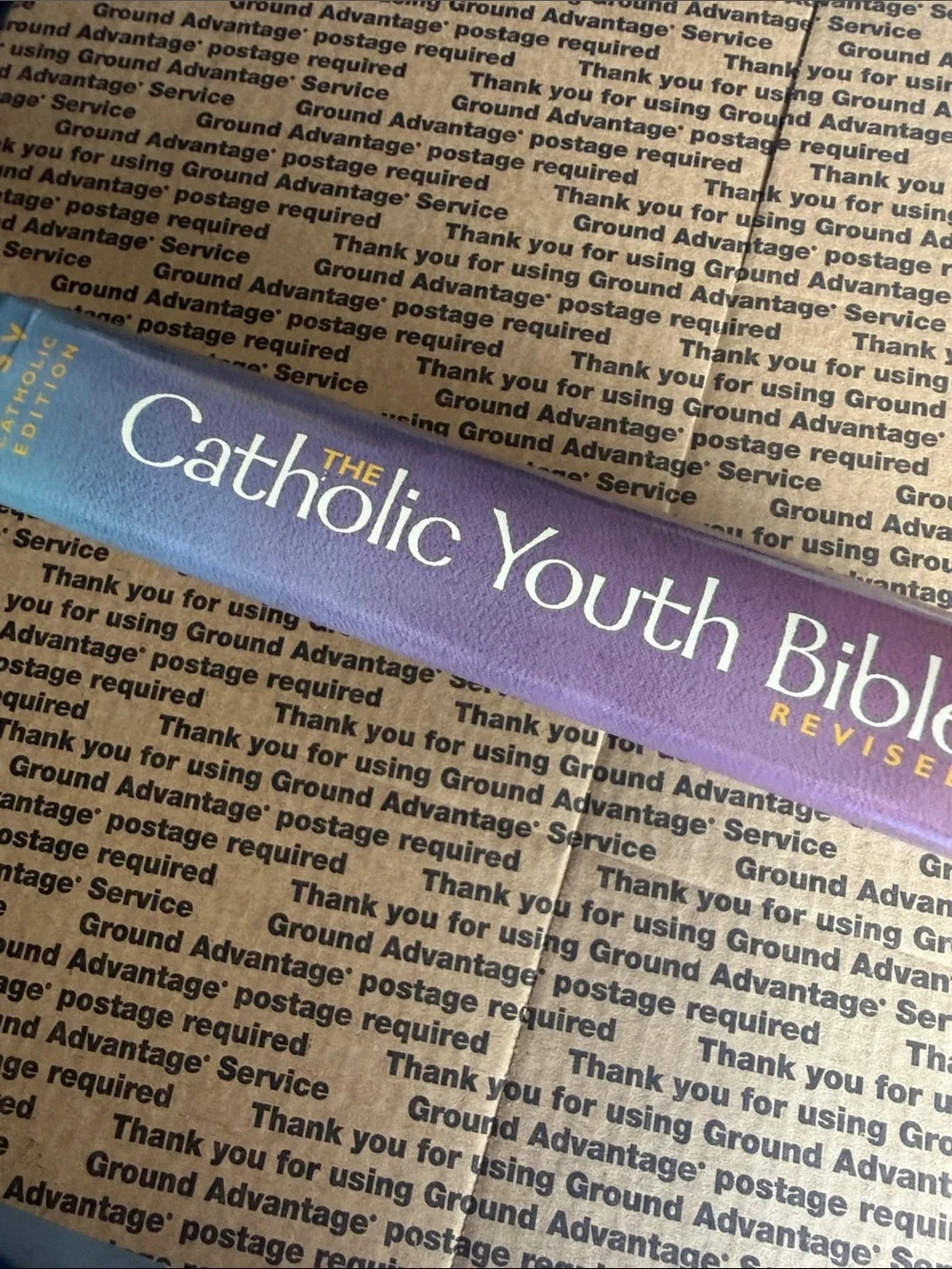 The Catholic Youth Bible - Multicolor Edition